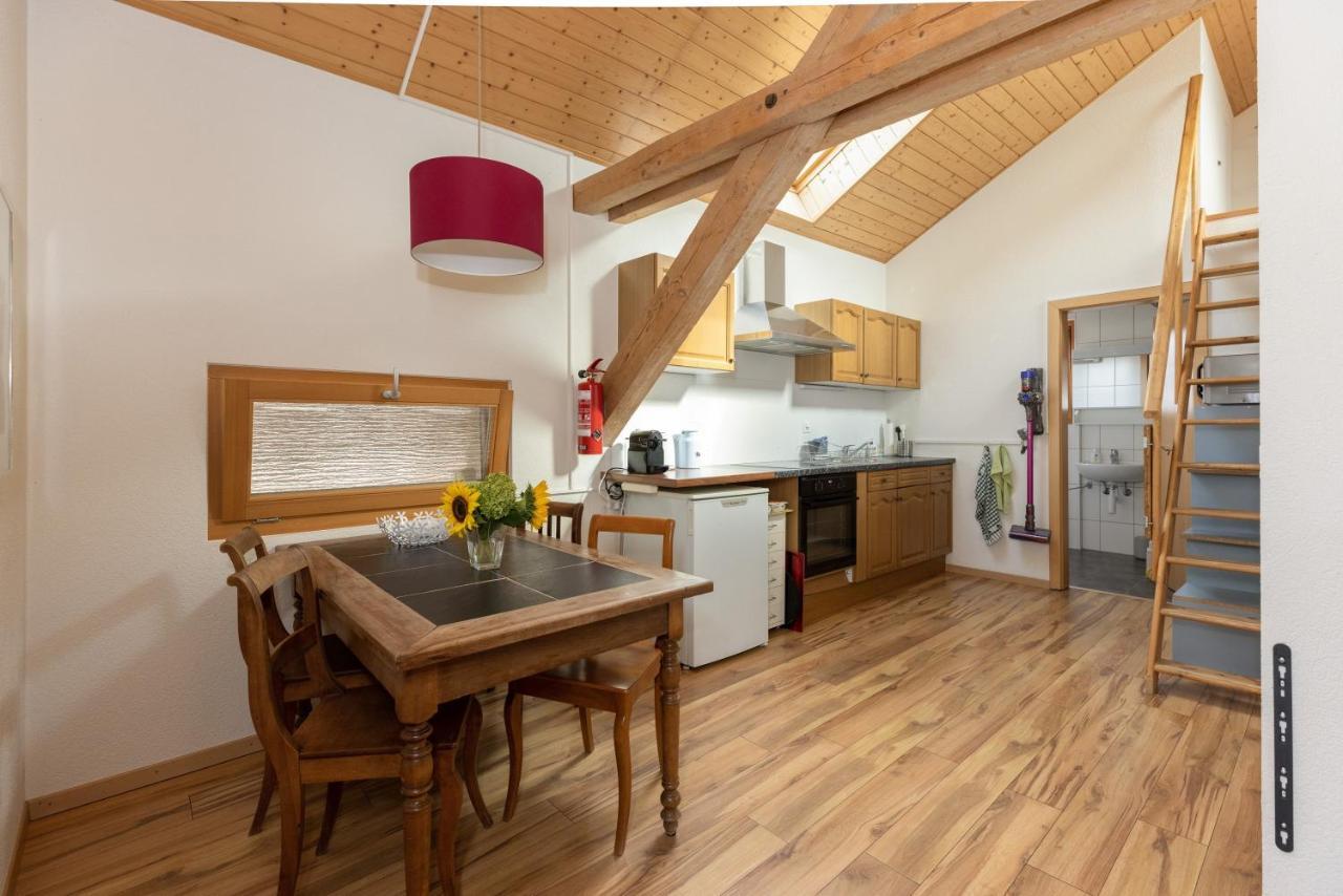 Guesthouse La Moliere, 3 Bedrooms, Private House, Horse Farm, Full Nature Murist エクステリア 写真
