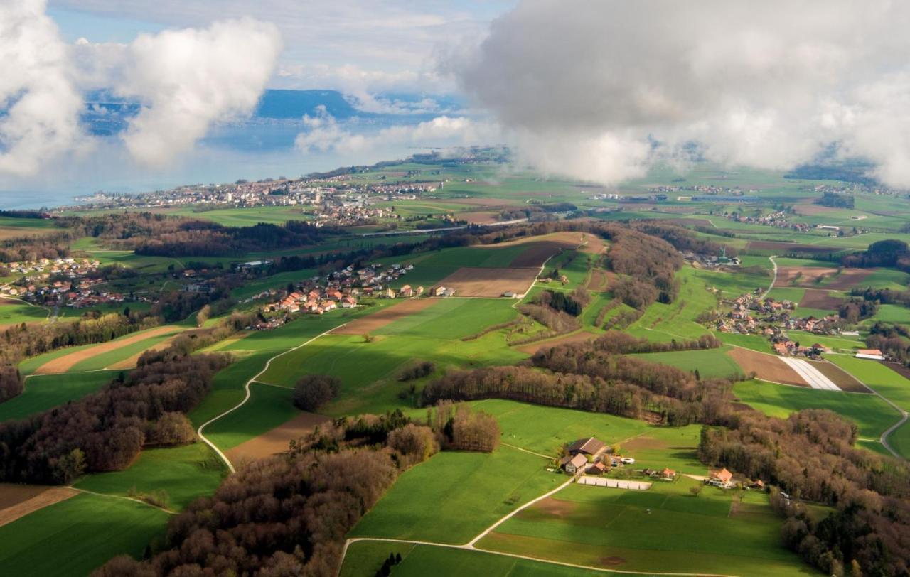 Guesthouse La Moliere, 3 Bedrooms, Private House, Horse Farm, Full Nature Murist エクステリア 写真