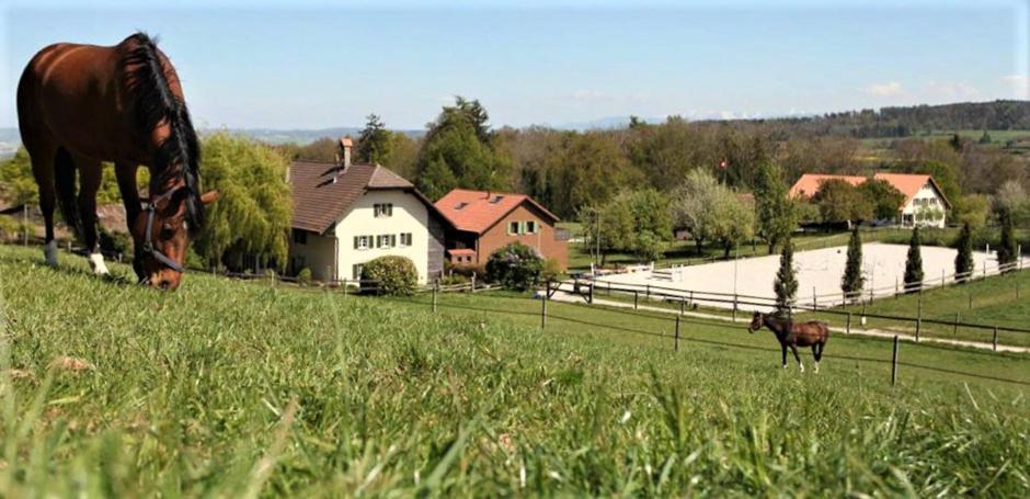 Guesthouse La Moliere, 3 Bedrooms, Private House, Horse Farm, Full Nature Murist エクステリア 写真