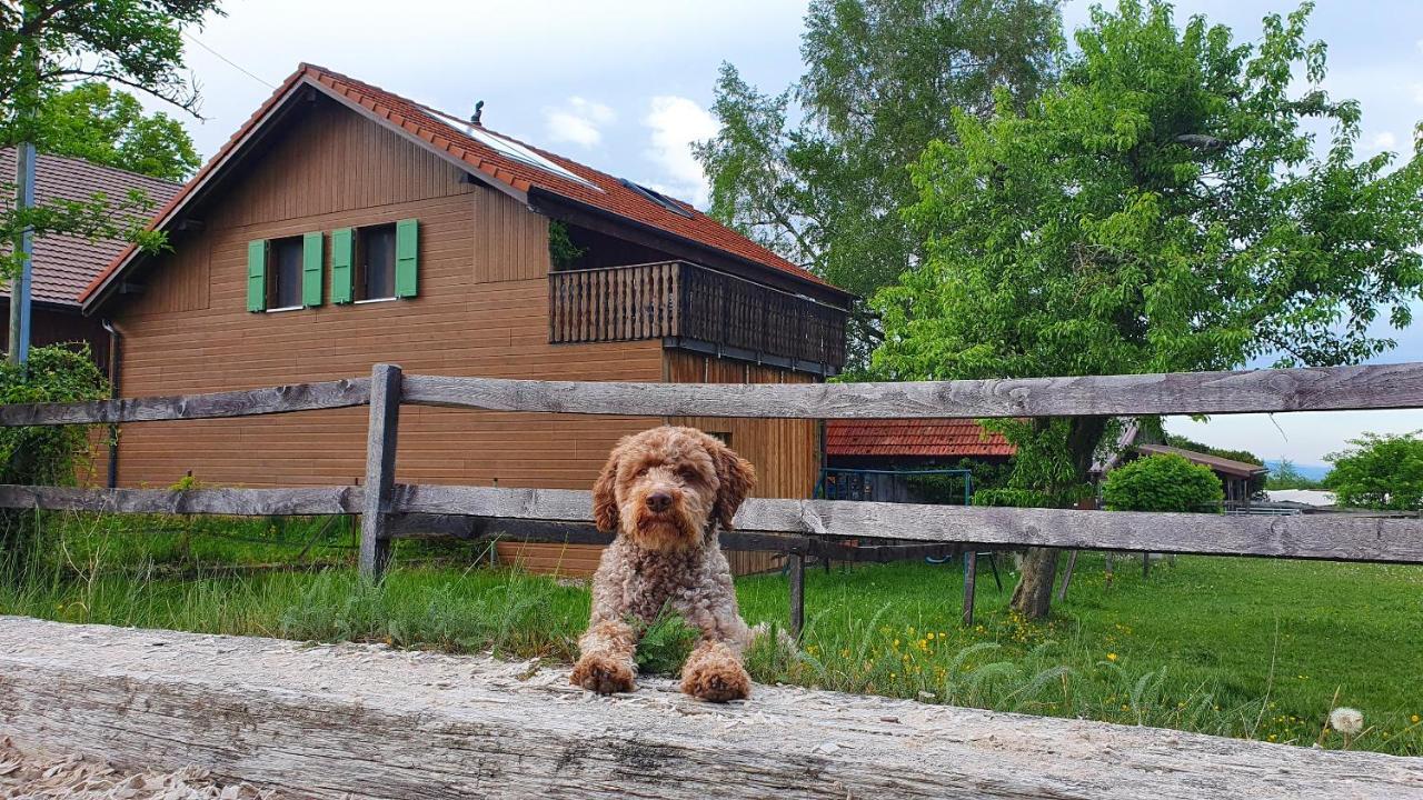 Guesthouse La Moliere, 3 Bedrooms, Private House, Horse Farm, Full Nature Murist エクステリア 写真