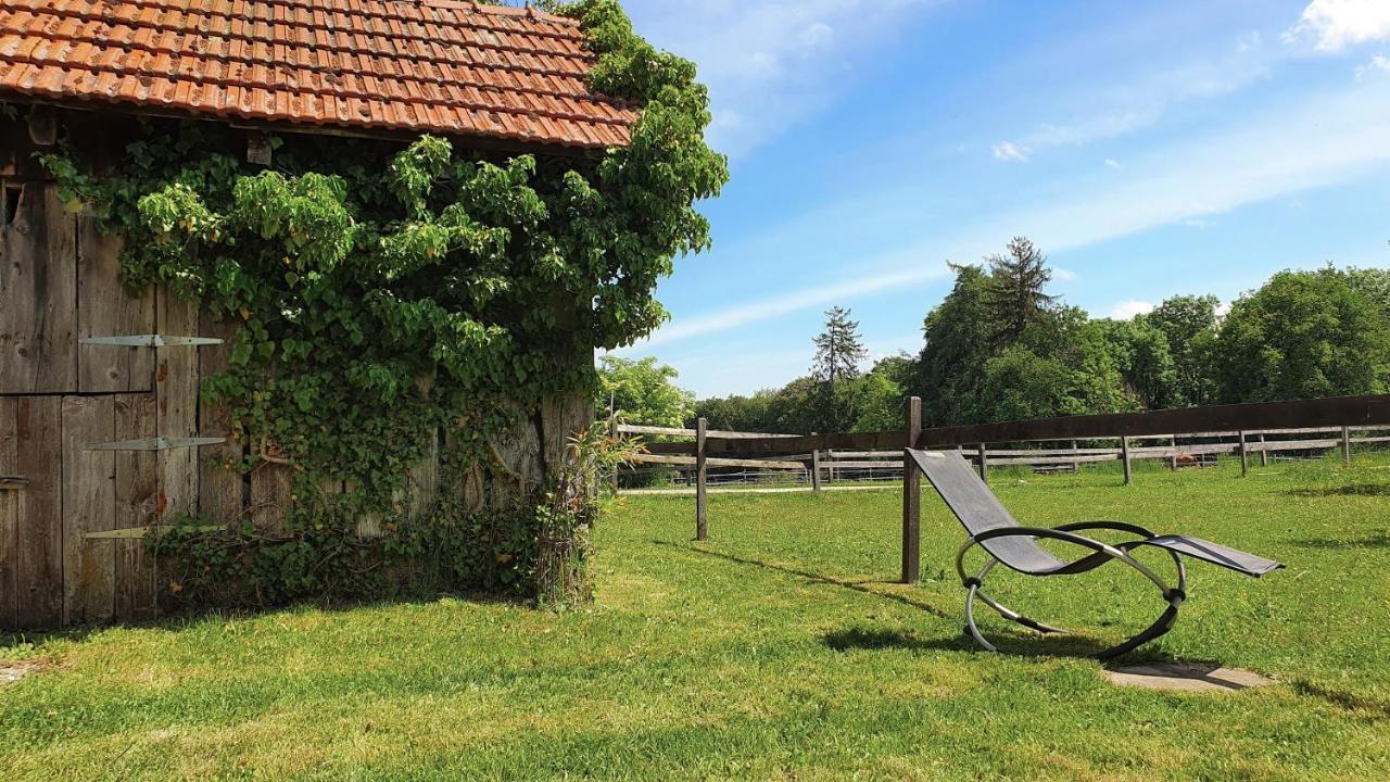 Guesthouse La Moliere, 3 Bedrooms, Private House, Horse Farm, Full Nature Murist エクステリア 写真