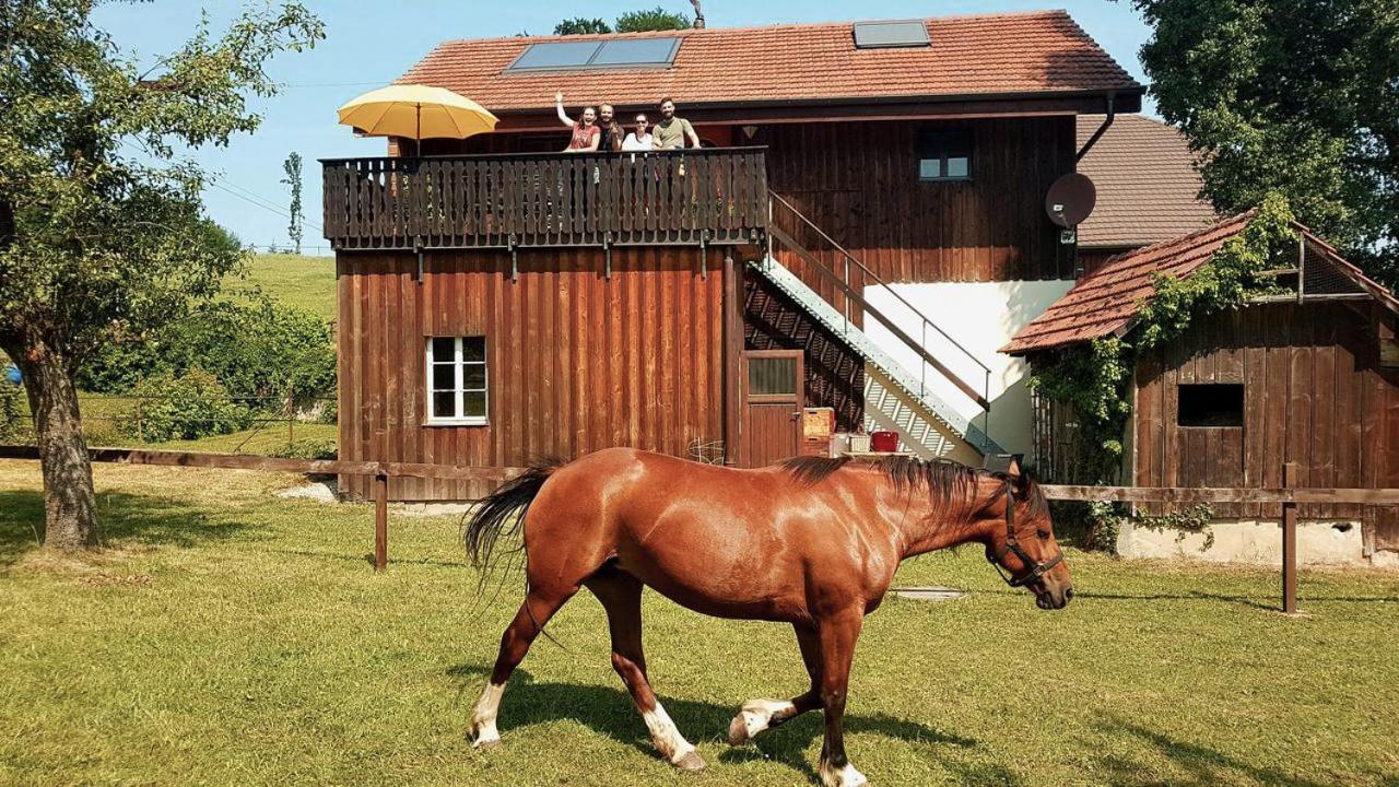 Guesthouse La Moliere, 3 Bedrooms, Private House, Horse Farm, Full Nature Murist エクステリア 写真